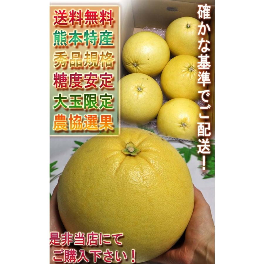 晩白柚 ばんぺいゆ 約4〜5kg 2〜5玉 熊本県産 秀品 ハウス栽培 柑橘