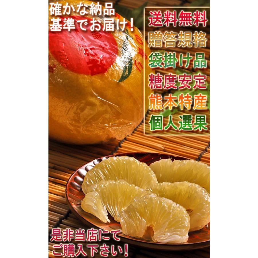 パール柑 大橘 約5kg 熊本県産 贈答規格 袋掛け品 個人農家産 ギフトに
