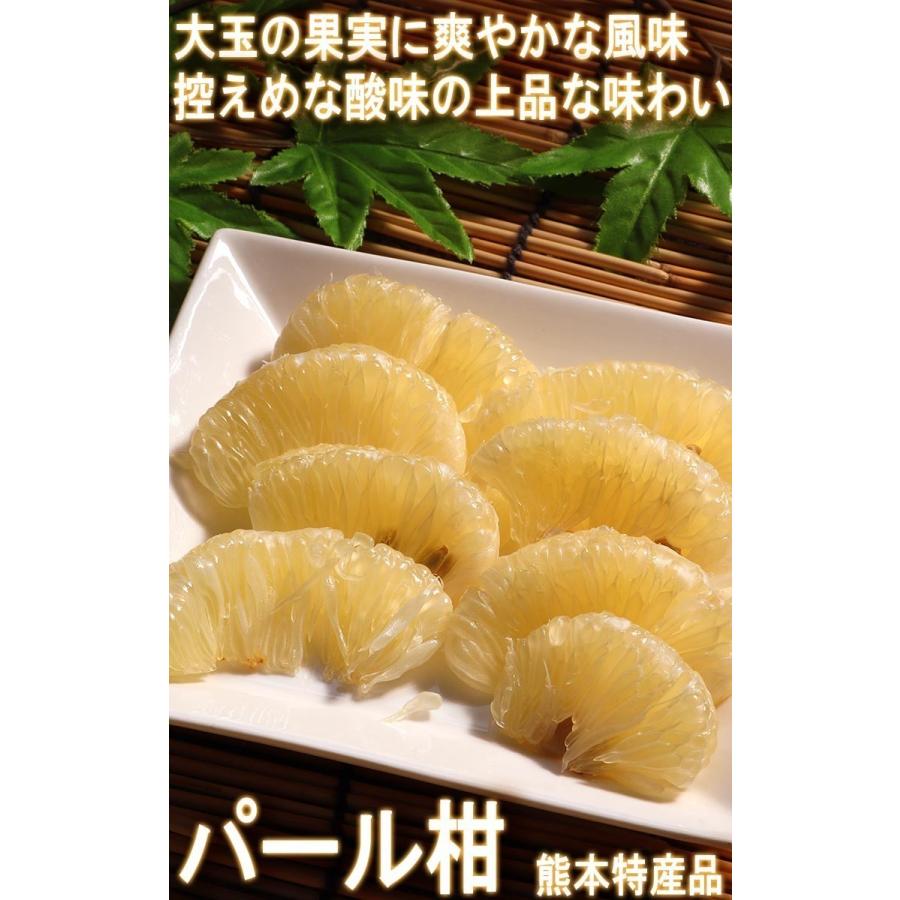 パール柑 大橘 約9〜10kg 熊本県産 贈答規格 個人農家産 ギフトにも