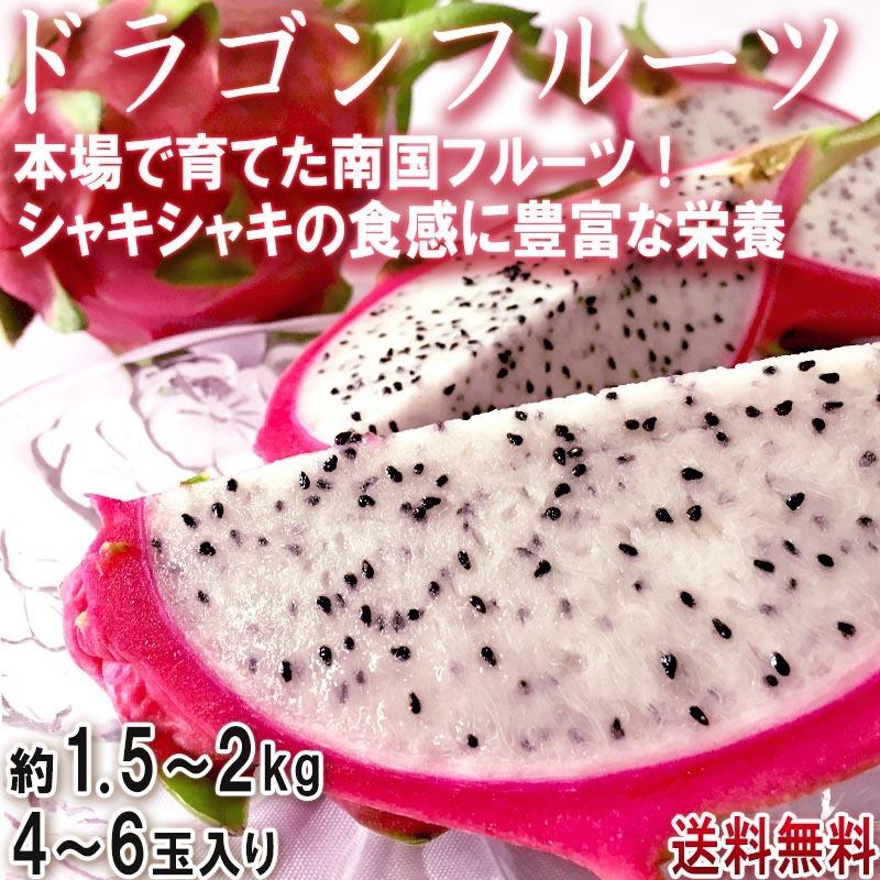 ドラゴンフルーツ ピタヤ 白肉 約1 5 2kg 4 6玉 ベトナム産 シャキシャキの食感とすっきりした甘さ 栄養豊富な南国フルーツ 産地から玄関へ 通販 Yahoo ショッピング