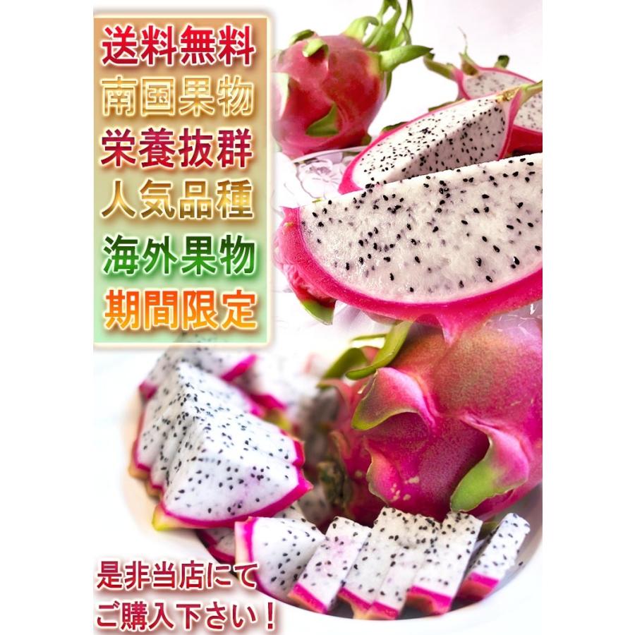 ドラゴンフルーツ ピタヤ 白肉 約1 5 2kg 4 6玉 ベトナム産 シャキシャキの食感とすっきりした甘さ 栄養豊富な南国フルーツ 産地から玄関へ 通販 Yahoo ショッピング