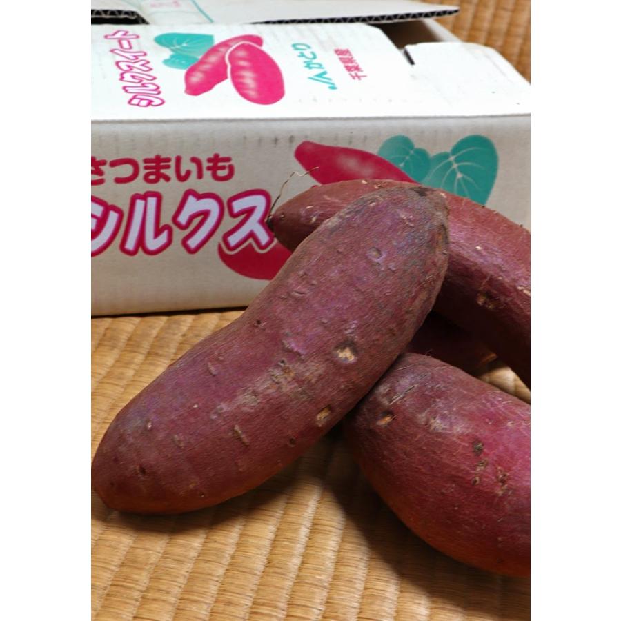 シルクスイート さつまいも 約5kg 千葉県・茨城県産 お得用 家庭 シルクスイート さつまいも 約5kg 千葉県・茨城県産 お得用 家庭