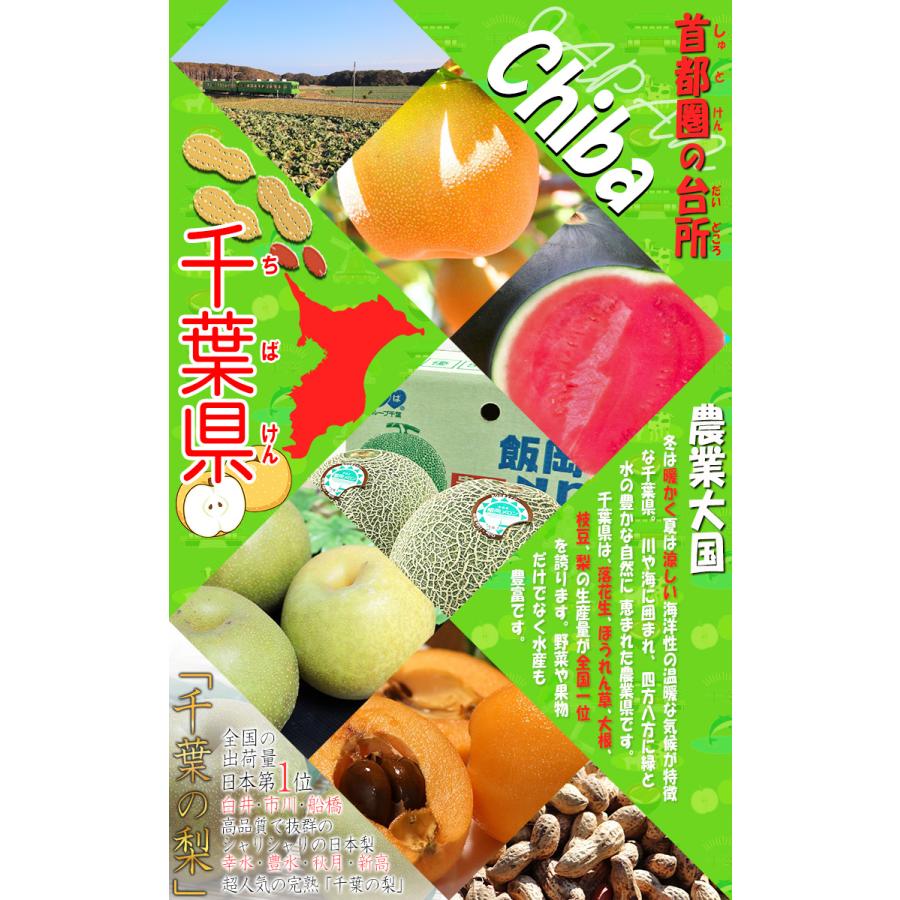 シルクスイート 特大さつまいも 約10kg L〜3Lサイズ 千葉県・茨城県産 お得用 家庭用限定 産地箱入り 滑らかな食感と溢れんばかりの甘さ！｜wamers｜07