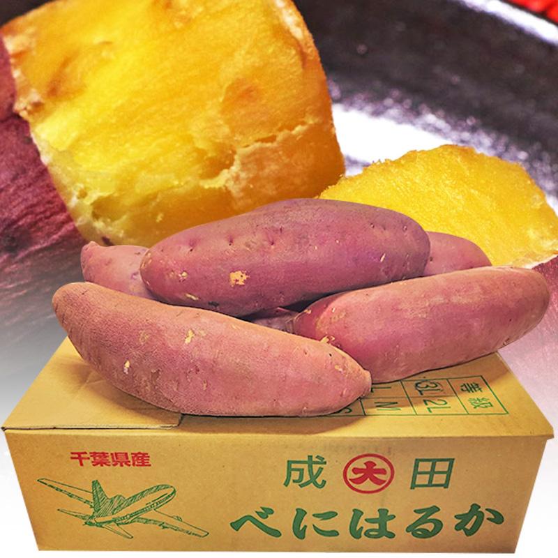 紅はるか 特大さつまいも 約10kg L〜3Lサイズ 千葉県・茨城県産 紅はるか 特大さつまいも 約10kg L〜3Lサイズ 千葉県・茨城県産