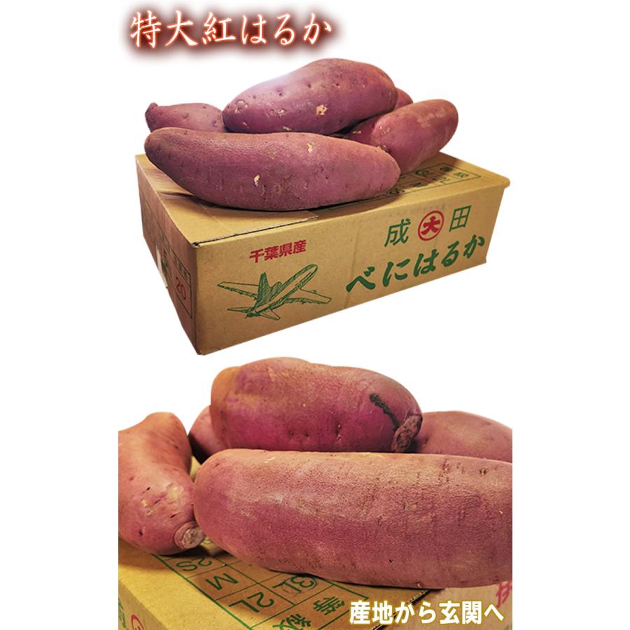 紅はるか 特大さつまいも 約10kg L〜3Lサイズ 千葉県・茨城県産 お得用 家庭用限定 産地箱入り しっとり系の濃厚な甘さの紅はるか！｜wamers｜04