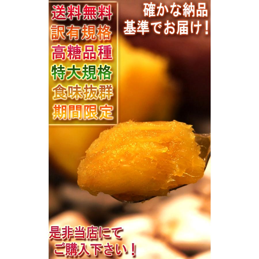 紅はるか 特大さつまいも 約10kg L〜3Lサイズ 千葉県・茨城県産 お得用 家庭用限定 産地箱入り しっとり系の濃厚な甘さの紅はるか！｜wamers｜05