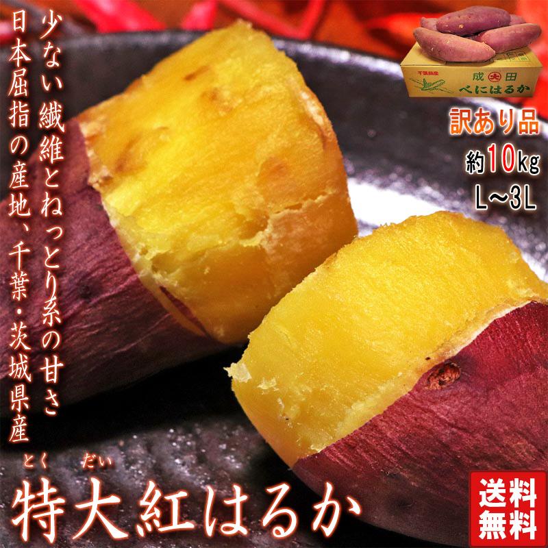 紅はるか 特大さつまいも 約10kg L〜3Lサイズ 千葉県・茨城県産 紅はるか 特大さつまいも 約10kg L〜3Lサイズ 千葉県・茨城県産