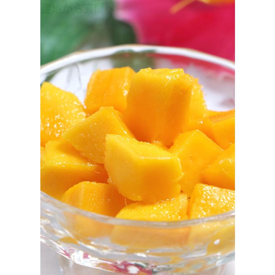 完熟マンゴー 1玉入り L 3lサイズ 佐賀県産 贈答規格 抜群の味と甘さの高級フルーツ 内祝い 温室栽培