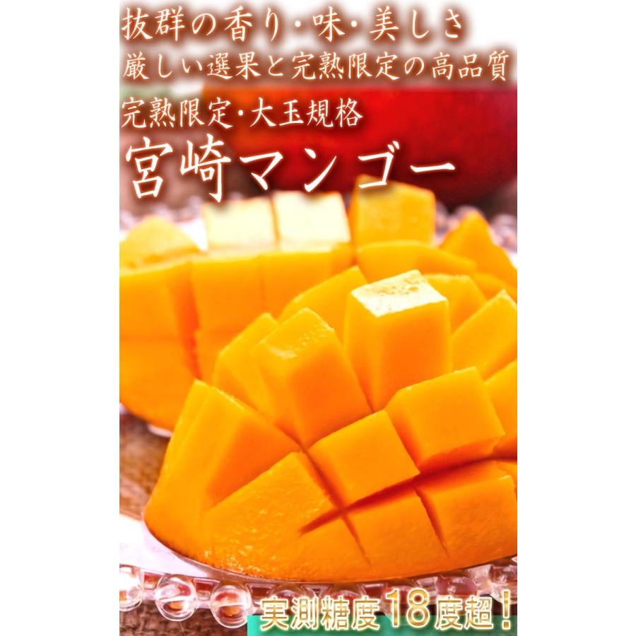 産地直送 宮崎マンゴー 樹上完熟 1玉 2〜3Lサイズ 訳あり品 宮崎県産 濃厚な味と甘さの特産フルーツを、お得な価格で本場から直送！｜wamers｜02