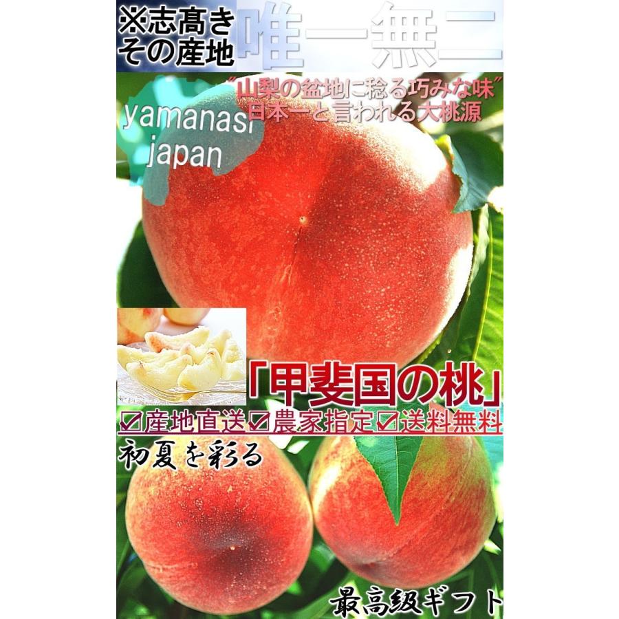 産地直送 甲斐国の桃 5kg 15〜22玉 山梨県産 秀品 お中元 ギフト 白桃