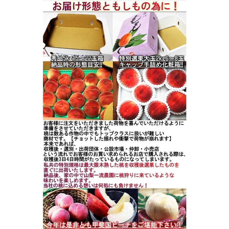 産地直送 甲斐国の桃 5kg 15〜22玉 山梨県産 秀品 お中元 ギフト 白桃