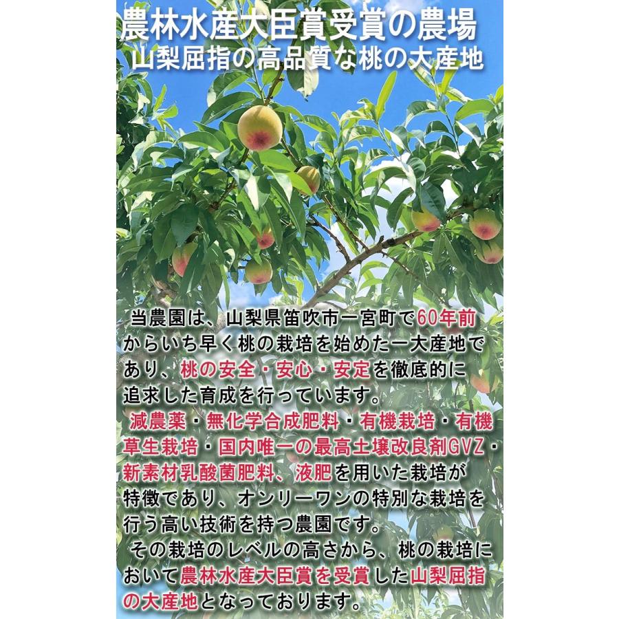 産地直送 桃 プレミアムピーチ 2kg 6〜9玉 山梨県産 お中元 ギフト 白桃 白鳳 贈答品 最高峰特選規格 農林水産大臣賞受賞の農園！ 有機栽培で育てた旬のモモ｜wamers｜05