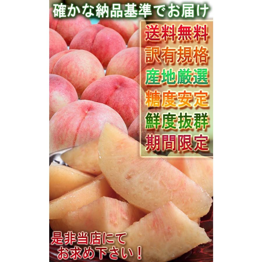 はねだし桃 訳あり 約5kg 15〜22玉前後 山梨県・福島県産中心 産地厳選
