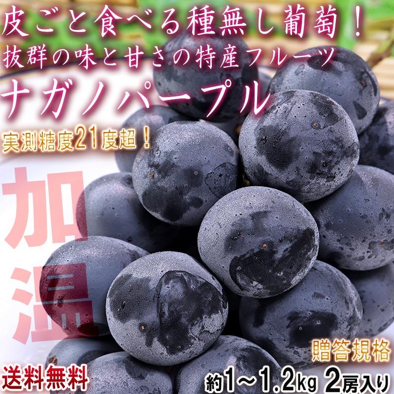 ナガノパープル 種無し葡萄 加温栽培 約1〜1.2kg 2房 長野県産