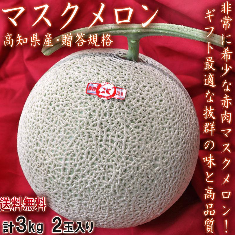 赤肉 温室メロン 高知県産 【公式通販】