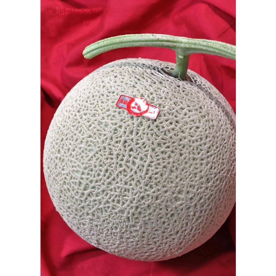 マスクメロン 赤肉限定 2玉入り 計約3kg 高知又茨城産 贈答規格 JA共撰