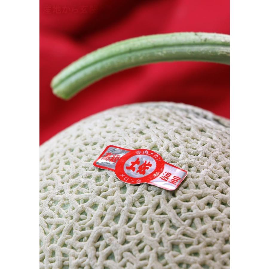 マスクメロン 赤肉限定 2玉入り 計約3kg 高知又茨城産 贈答規格 JA共撰