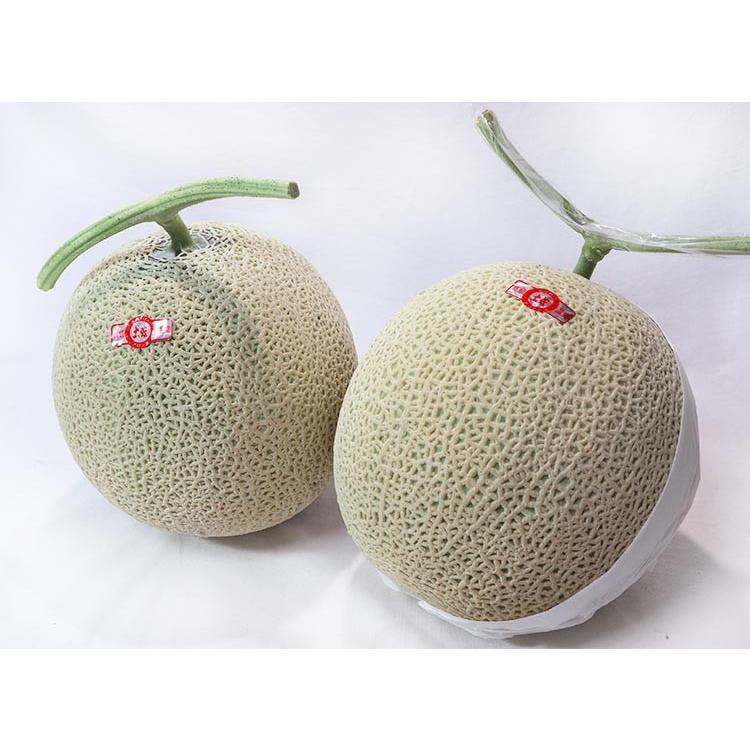 アールスメロン 赤肉限定 1玉入り 計約2kg 高知・熊本・茨城県産中心