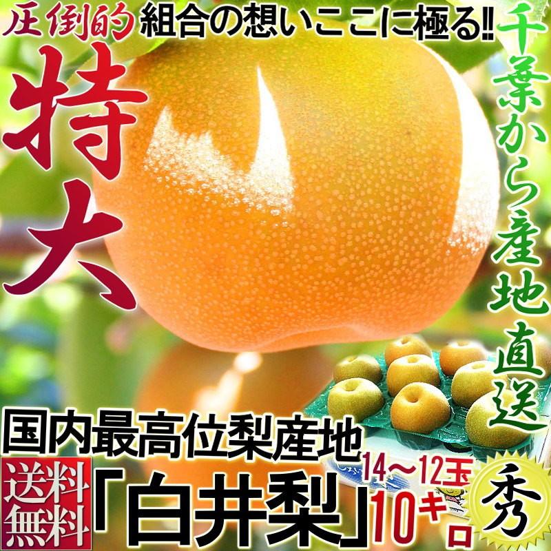 白井梨 幸水・豊水・秋月・新高 約10kg 14〜28玉 千葉県産 秀品 大玉限定 贈答規格 豊富な果汁とみずみずしい甘さ！産地で収穫した鮮度抜群のナシをお届け