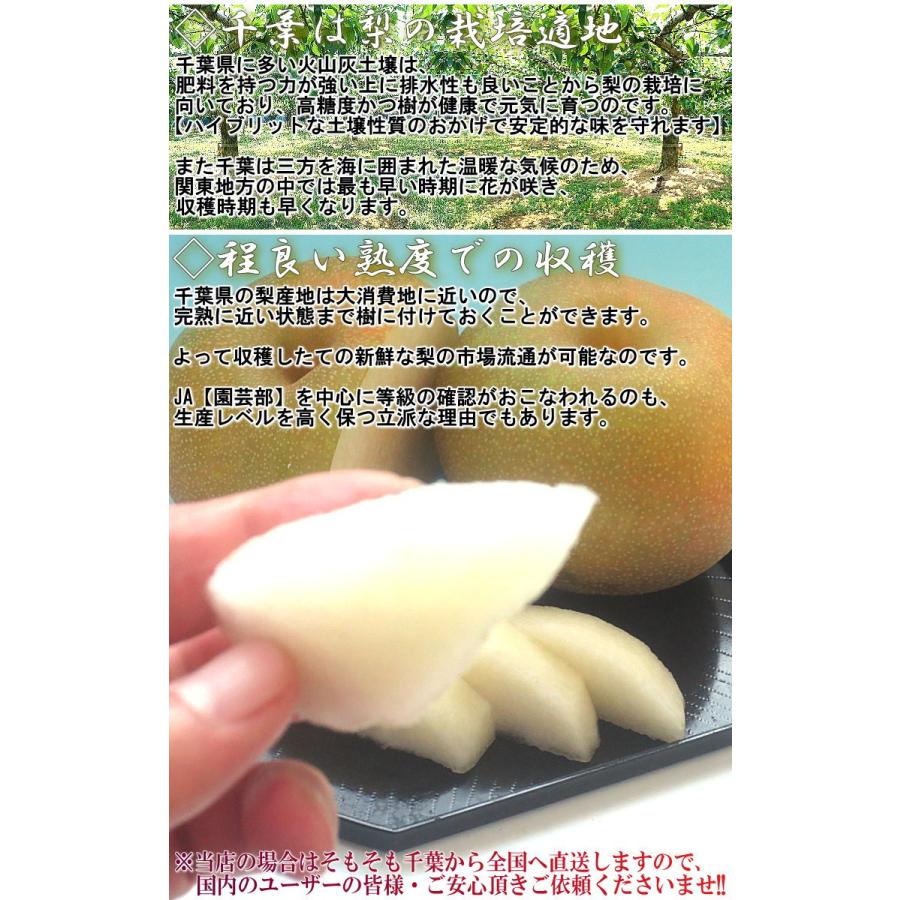 千葉梨 幸水・豊水・あきづき・新高 約10kg 14〜28玉 大玉限定 訳あり