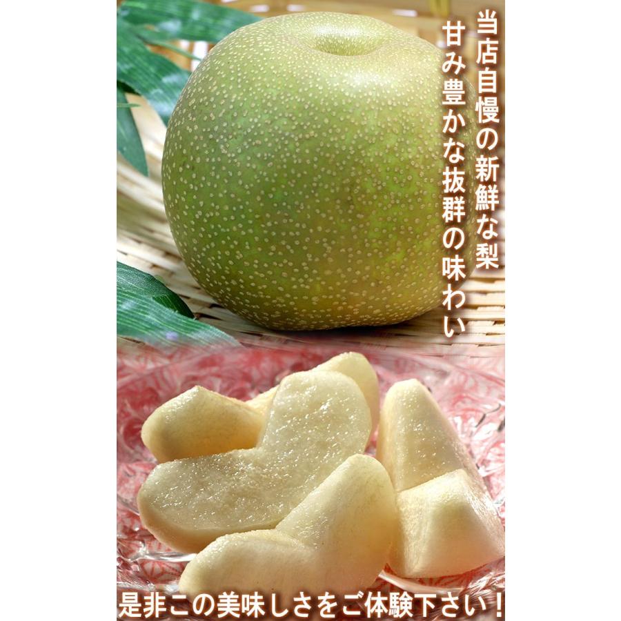 白井梨 幸水・豊水・秋月・新高 約5kg 7〜14玉 千葉県産 秀品 大玉限定 贈答 豊富な果汁とみずみずしい甘さ!産地で収穫した鮮度抜群のナシをお届け :457564:産地から玄関へ - 通販 - Yahoo!ショッピング 白井梨 幸水・豊水・秋月・新高 約5kg 7〜14玉 千葉県産 秀品 大玉限定 贈答 豊富な果汁とみずみずしい甘さ!産地で収穫した鮮度抜群のナシをお届け :457564:産地から玄関へ - 通販 - Yahoo!ショッピング