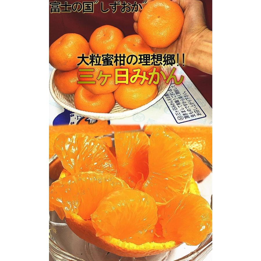 三ヶ日みかん 約7〜8kg 大玉L〜4Lサイズ 静岡県産 JAしずおか 地域