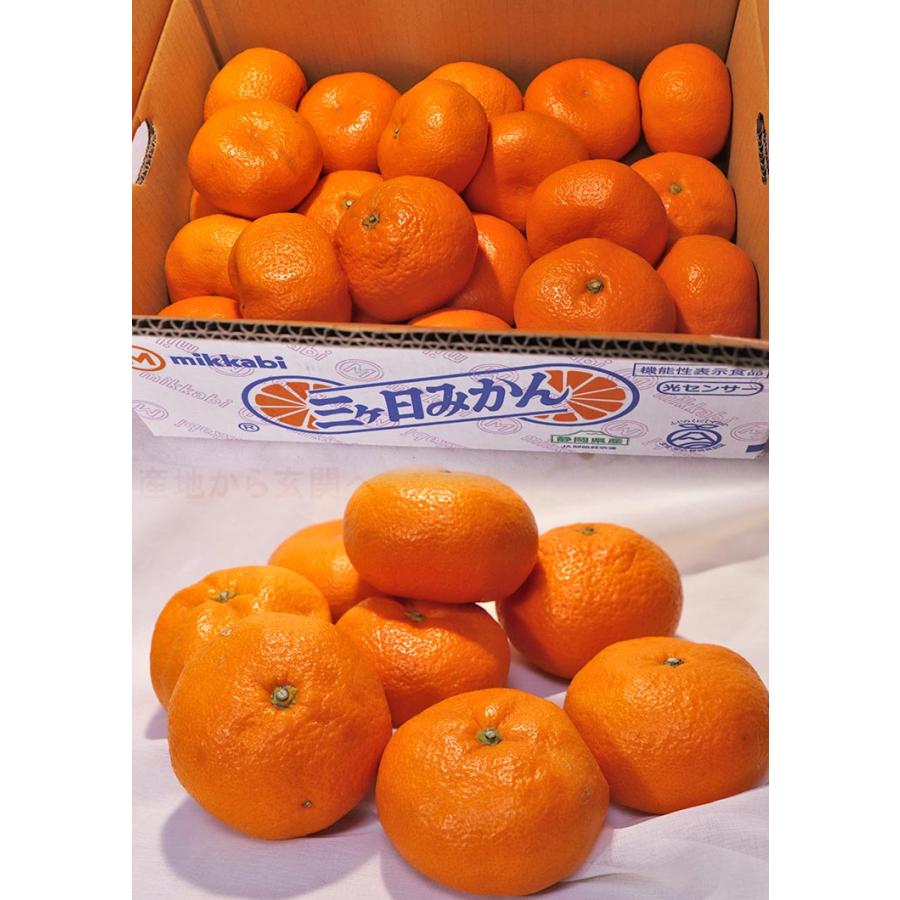 三ヶ日みかん 約7〜8kg 大玉L〜4Lサイズ 静岡県産 JAしずおか 地域
