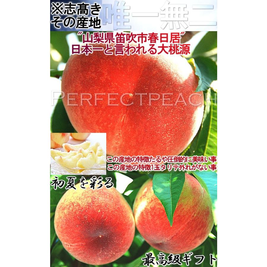 春日居の桃 山梨県産 5kg 12〜20玉前後 モモ 白桃 白鳳 もも 日河白鳳 加野岩白桃 浅間白桃 水密白桃 川中島白桃 なつっこ あかつき 品種リレーの画像