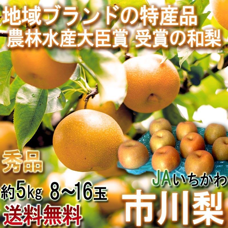市川梨 幸水・豊水・あきづき・新高 約5kg 8〜16玉 秀品 大玉中心 千葉