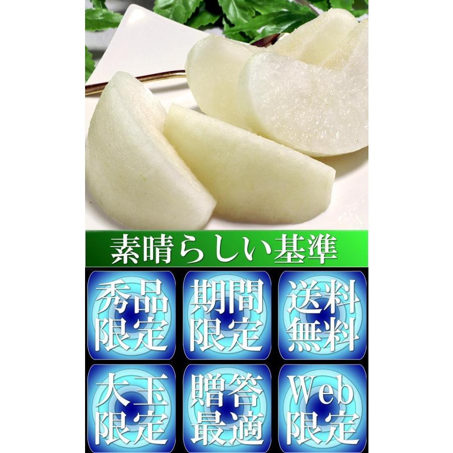 市川梨 幸水・豊水・あきづき・新高 約5kg 8〜16玉 秀品 大玉中心 千葉