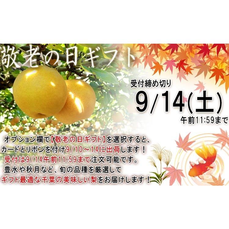 市川梨 幸水・豊水・あきづき・新高 約5kg 8〜16玉 秀品 大玉中心 千葉