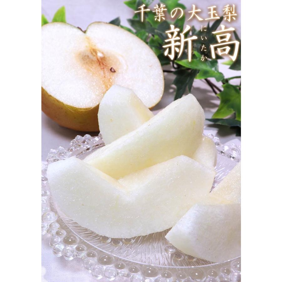 市川梨 幸水・豊水・あきづき・新高 約5kg 8〜16玉 秀品 大玉中心 千葉
