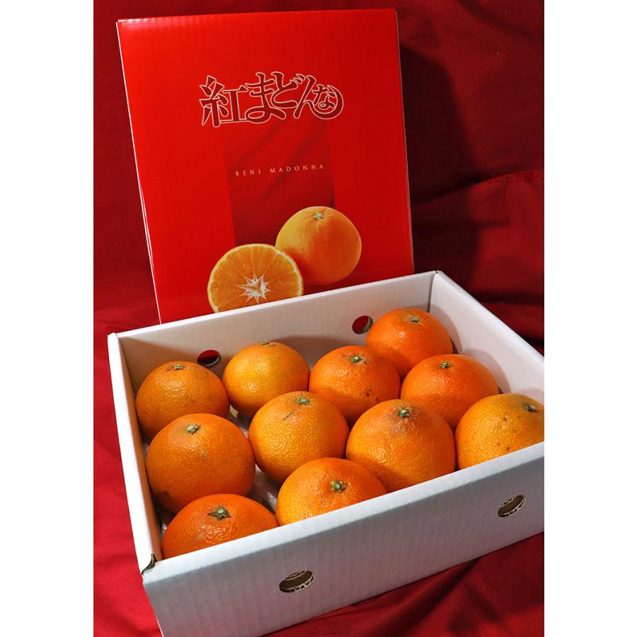 紅まどんな 約1.5〜2kg 8〜14玉 愛媛県産 化粧箱入り 愛媛オリジナルの