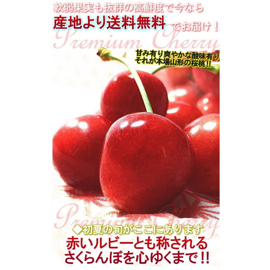 産地直送 佐藤錦 さくらんぼ 1kg Lサイズ 山形県産 秀品 東根 露地栽培 贈答品 酸味と高い糖度が魅力の爽やかな味 鮮度抜群のギフトフルーツ｜wamers｜05