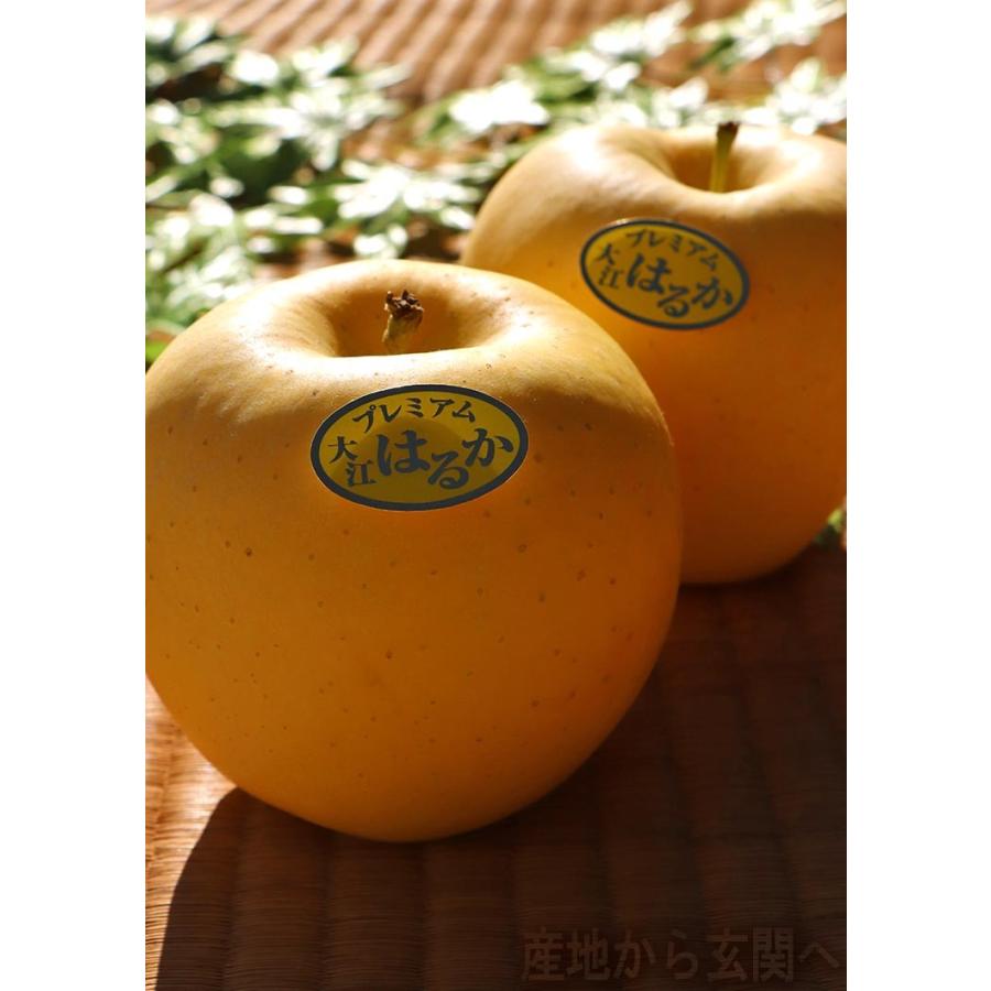 はるか 蜜入り黄りんご 約3kg 7〜13玉 特秀品 山形県産 贈答品 JAさが