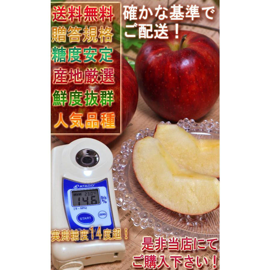 ジョナゴールド 赤りんご 約5kg 10〜20玉 青森・岩手県産 贈答規格