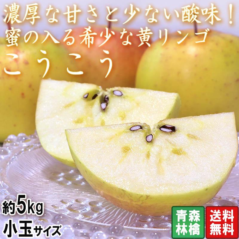 こうこう 黄色りんご 約5kg 小玉サイズ 青森県産 希少品種の蜜リンゴ