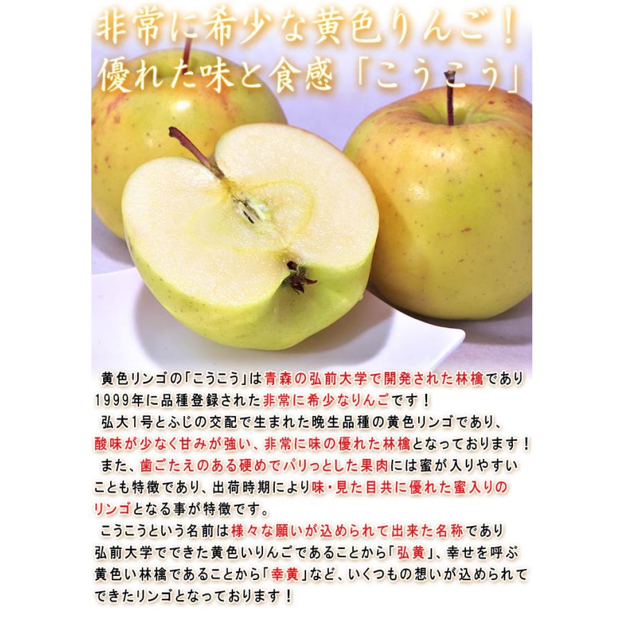 こうこう 黄色りんご 約5kg 小玉サイズ 青森県産 希少品種の蜜リンゴ