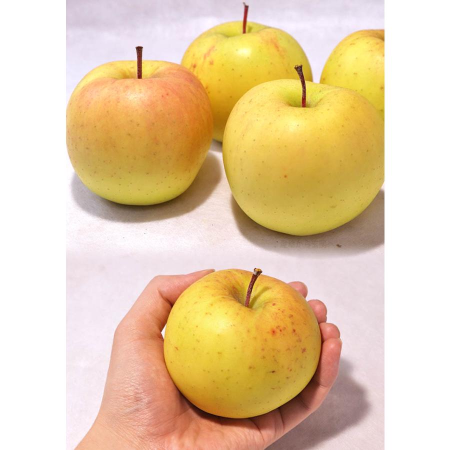 こうこう 黄色りんご 約5kg 小玉サイズ 青森県産 希少品種の蜜リンゴ