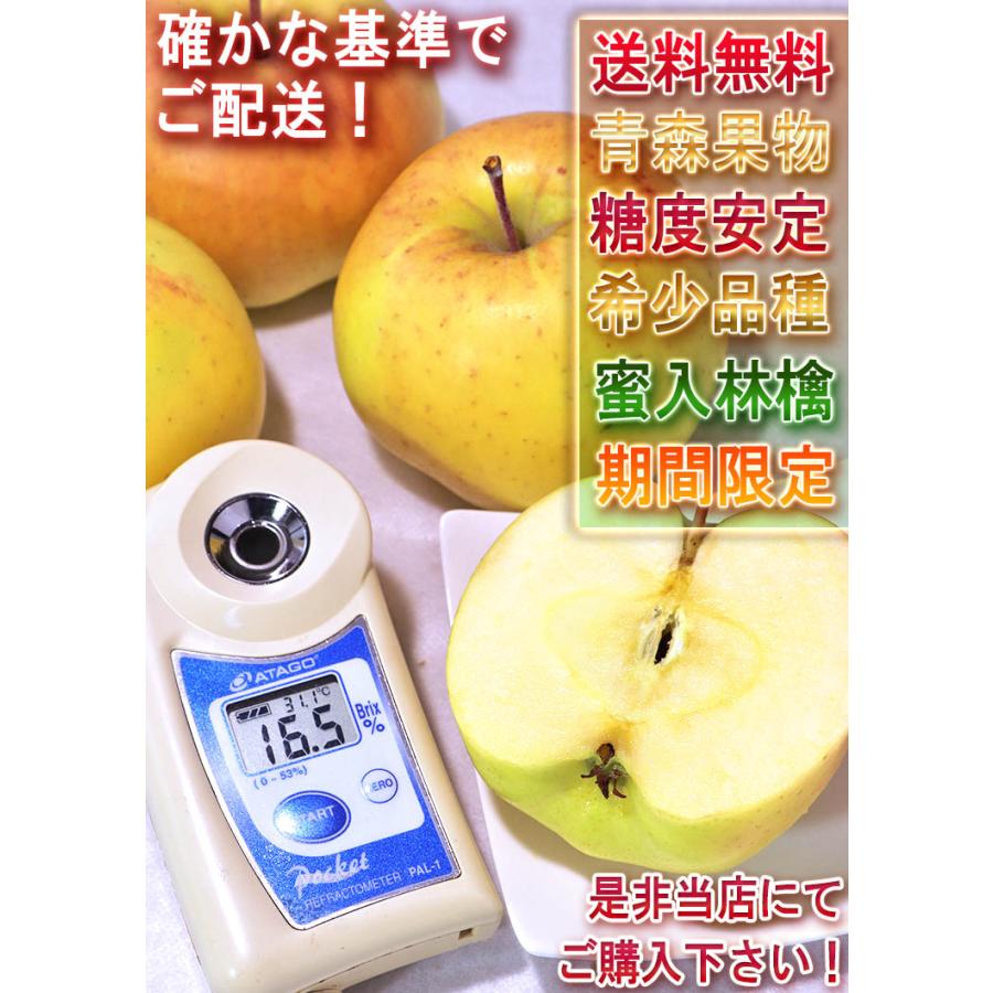 こうこう 黄色りんご 約5kg 小玉サイズ 青森県産 希少品種の蜜リンゴ