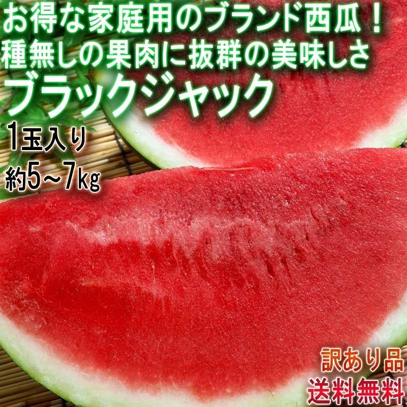 選べる2個セット 3ce スタイルナンダ プランピングリップ 全5色 各2 2g 高密度栄養リップ スリーコンセプトアイズ 韓国コスメ 正規品 送料無料 激安な