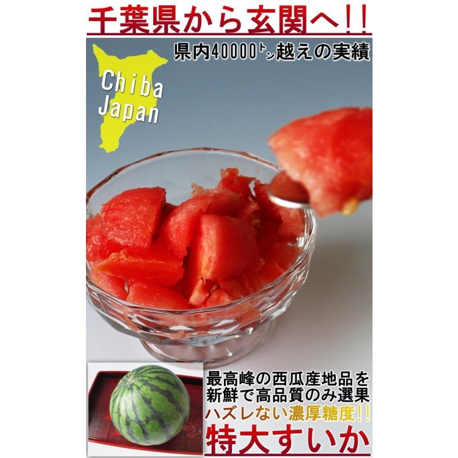 厳選大玉スイカ 約7〜9kg 1玉入り 訳あり品 千葉県産 大玉〜特大サイズ