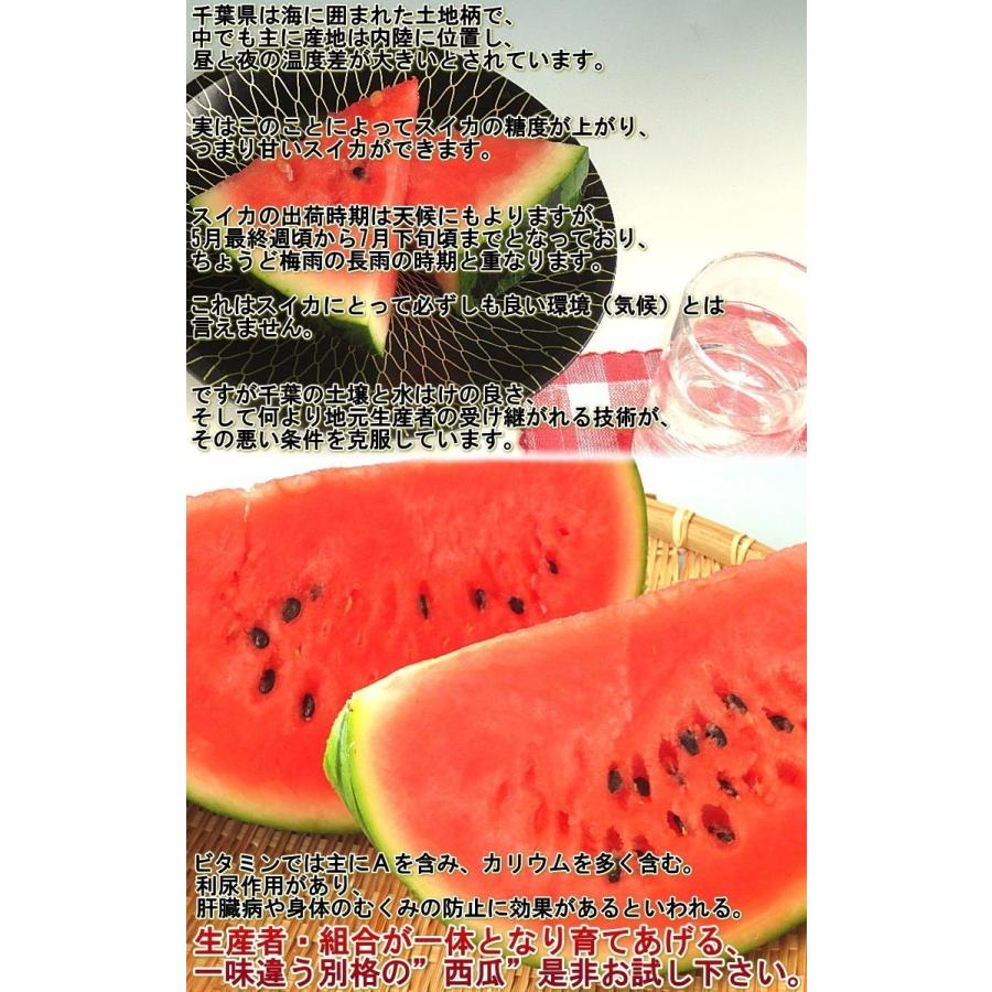 厳選大玉スイカ 約7〜9kg 1玉入り 訳あり品 千葉県産 大玉〜特大サイズ