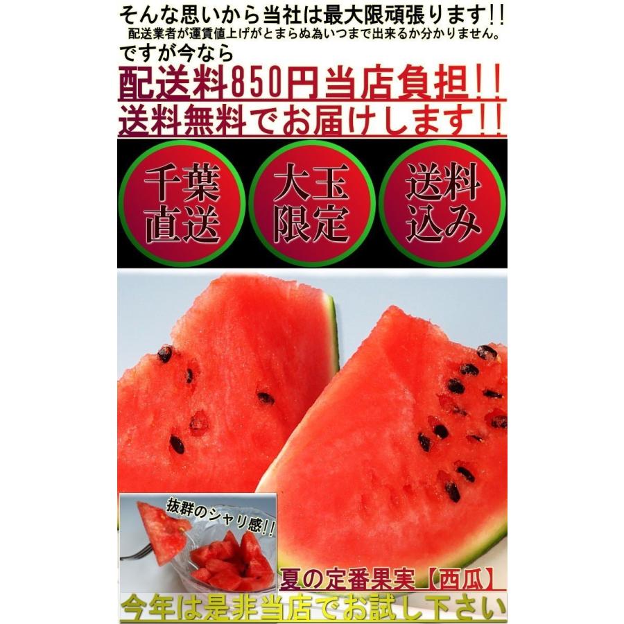 厳選大玉スイカ 約7〜9kg 1玉入り 訳あり品 千葉県産 大玉〜特大サイズ