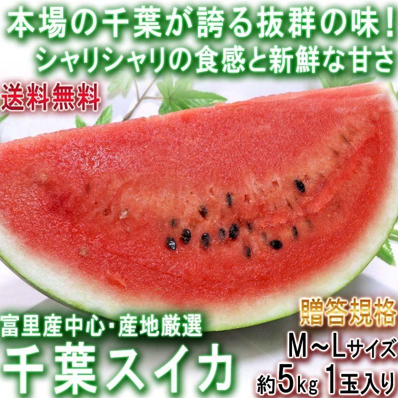 千葉スイカ 富里産 約5kg 1玉入り 県内屈指の産地を厳選 贈答規格 豊かな甘さの新鮮な旬の西瓜 最安値に挑戦 千葉県産
