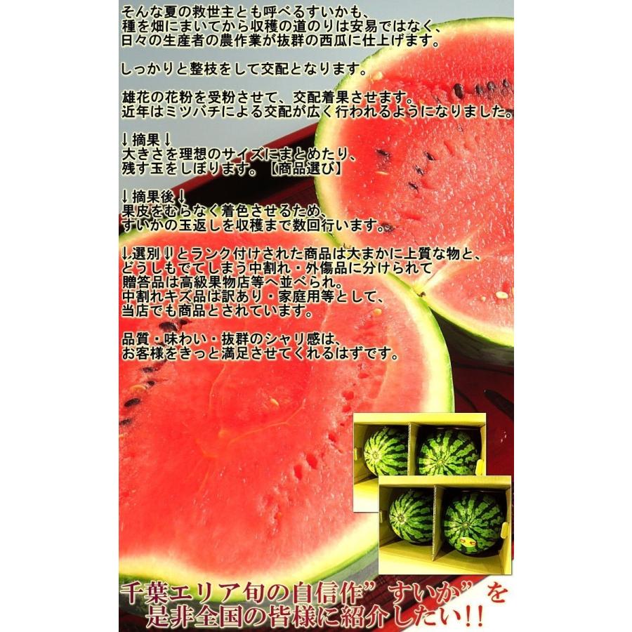 特大スイカ 約12〜15kg 1玉入り 5〜7Lサイズ 千葉県産 贈答規格 秀品