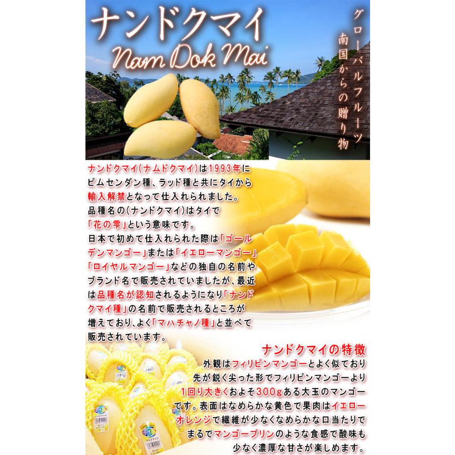 マンゴー苗　マハチャノック　12号特大 タイ産マンゴー（マハチャノック種）大玉12個入り 約4.5kg