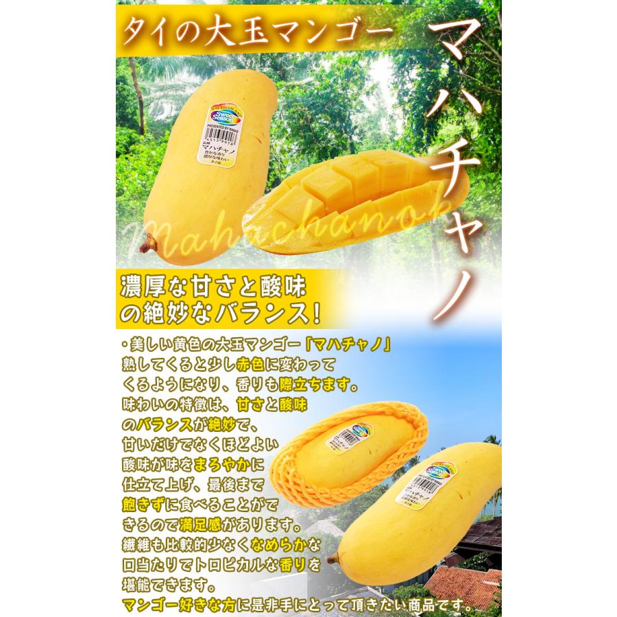タイマンゴー 1.5kg 4〜6玉 大玉 マハチャノ・ナンドクマイ タイ産 高
