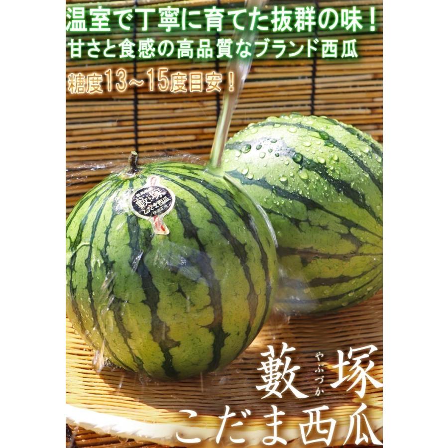 藪塚こだま西瓜 温室栽培 小玉スイカ 約3〜4kg 2〜4玉 群馬県産 藪塚こだま西瓜 温室栽培 小玉スイカ 約3〜4kg 2〜4玉 群馬県産