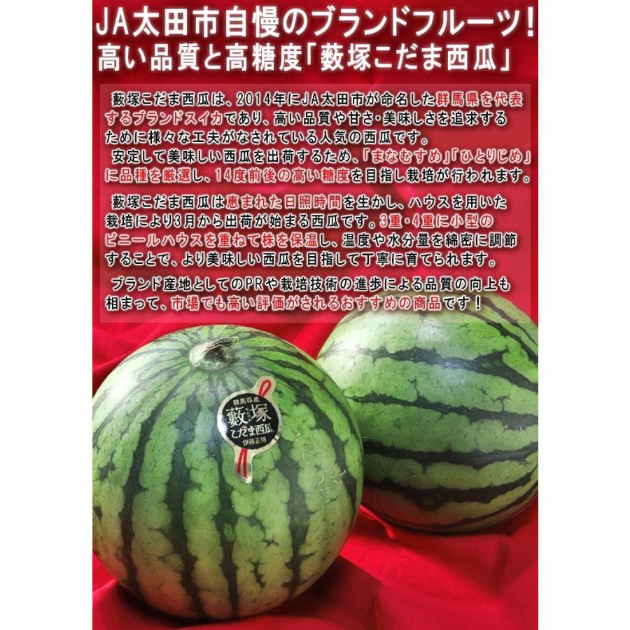 藪塚こだま西瓜 温室栽培 小玉スイカ 約3〜4kg 2〜4玉 群馬県産 藪塚こだま西瓜 温室栽培 小玉スイカ 約3〜4kg 2〜4玉 群馬県産